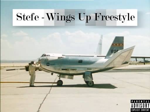 stefe-wingsupfreestyle-artwork
